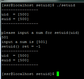 setuid seteuid  HP-UX Linux ϵͳ²