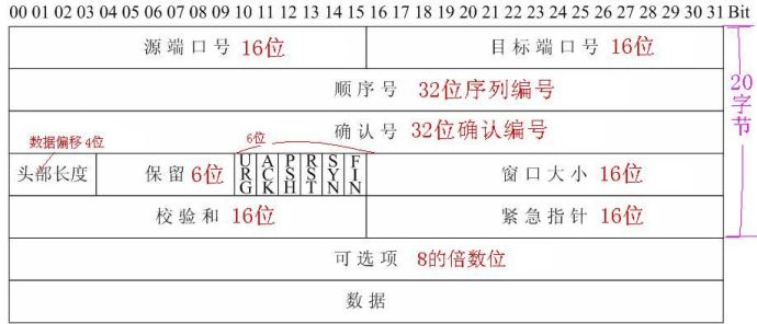 TCPͷнṹ