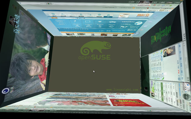 opensuse 11.3 3DЧ