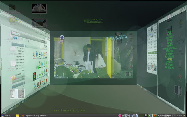 opensuse 11.3 3DЧ