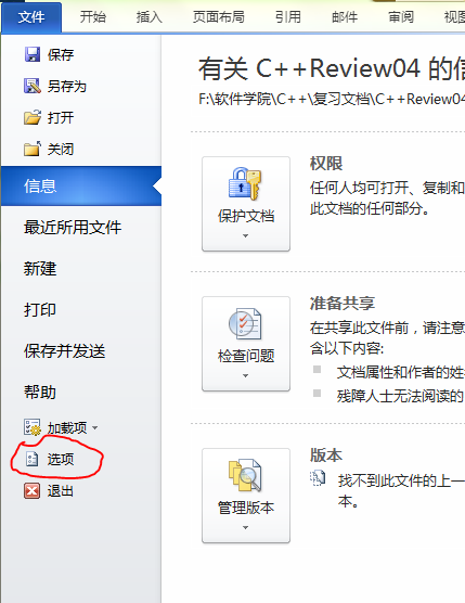 Microsoft Word2010 ȡӢĸд
