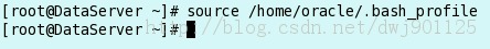 CentOS6.4 װ Oracle11g