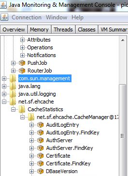 ehcacheJettyеJMX