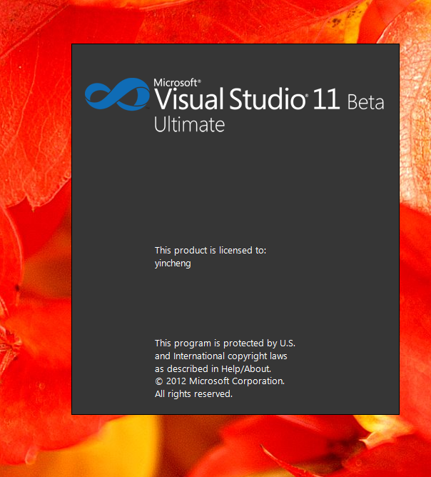 Visual studio11Windows8¿ںӽ̴