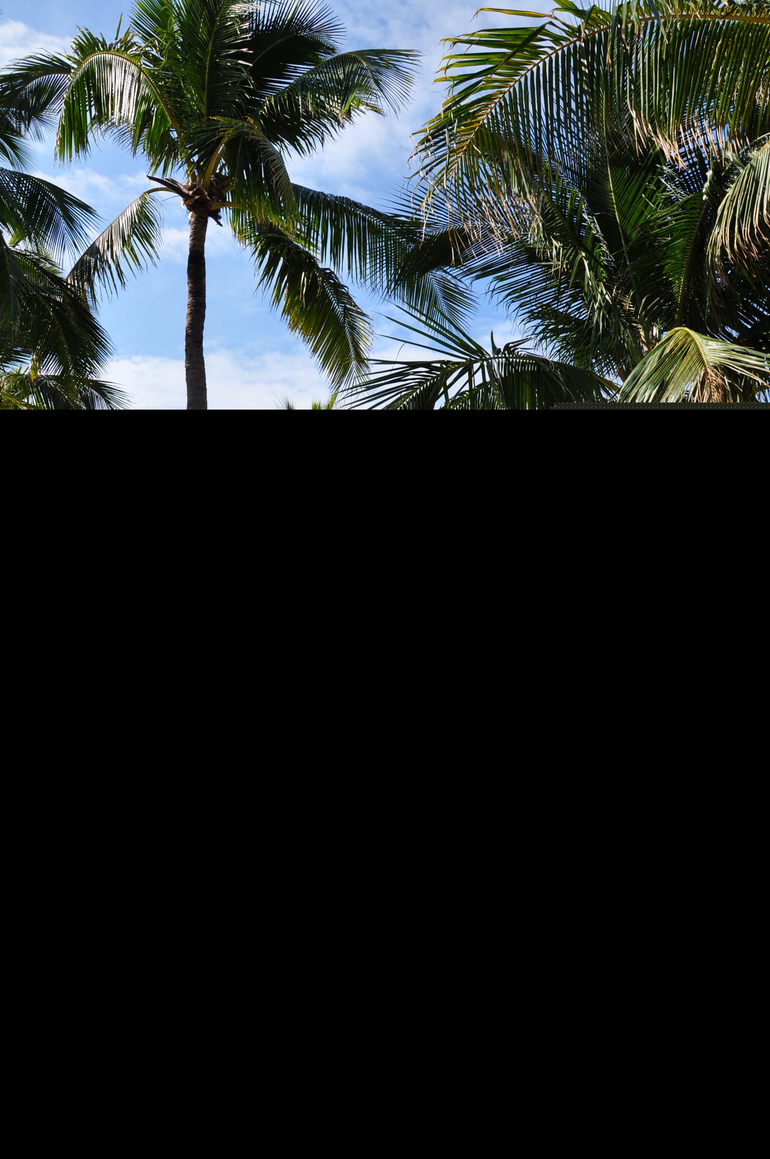 �����-==- ��ʽ��ְ��,׼���ݼ�[����,��Ů,ɳ̲]