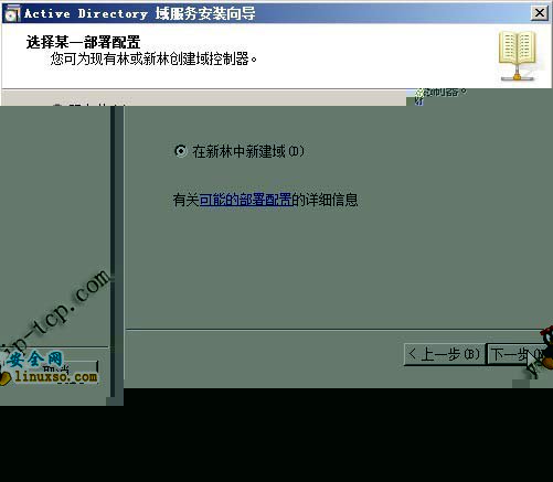 VMware vCenter װʼ(ADװ)