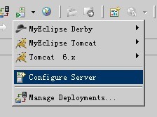 MyEclipse�䱸Tomcat����ϸ��ͼ��̳�