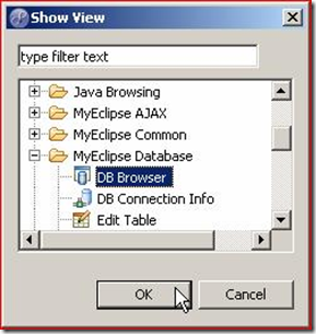 MyEclipse��������ʵ�����Hibernateӳ���ļ�