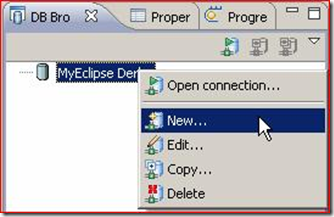 MyEclipse��������ʵ�����Hibernateӳ���ļ�