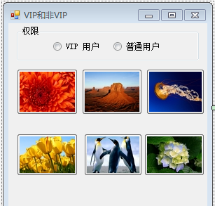 radioButton ¼취