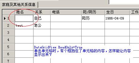 DataGridView Ԫ񵥻취