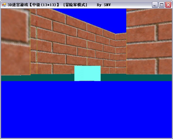 vb.net2008׫3DϷų