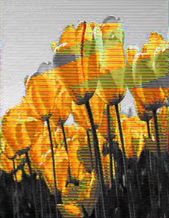 bmpͼƬѹĿ͸ߵйʣ͸Ȥ