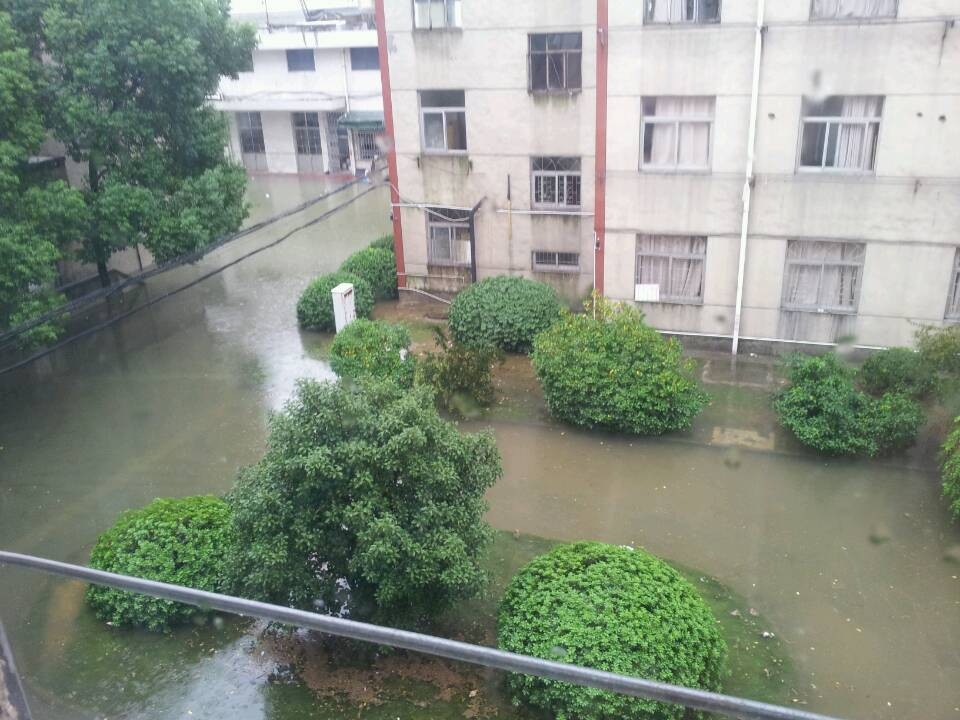 ǿ簡̨磬ѧУױͣʼ