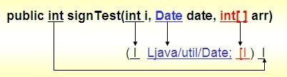 C/C++Java(Ը)