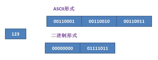 《C语言参悟之旅》-读书笔记(9)