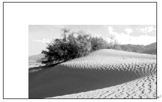 图像编程学习札记2——bmp位图平移