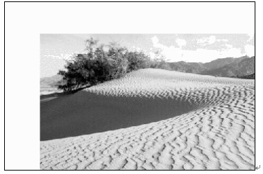 图像编程学习札记2——bmp位图平移