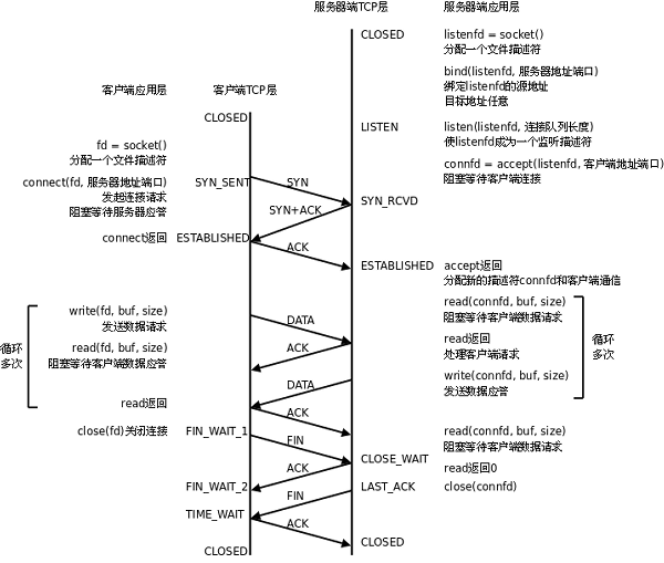 Linux C ̡4. TCP Socket
