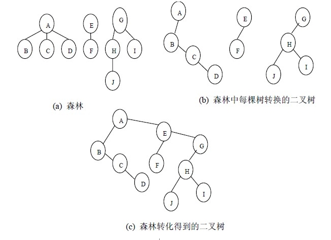 林海、树与二叉树之间的相互转化