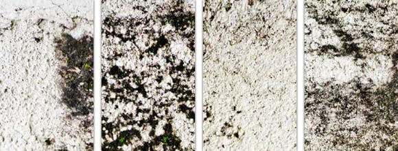 分享最新20套漂亮的网页背景纹路素材