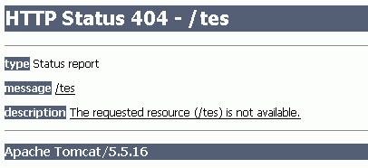 Tomcatt:友好的异常处理页面