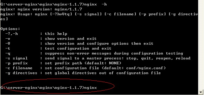 Nginx+Tomcat 