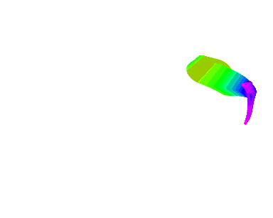 ôʵ