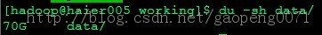 Hadoop-Datanode洢й