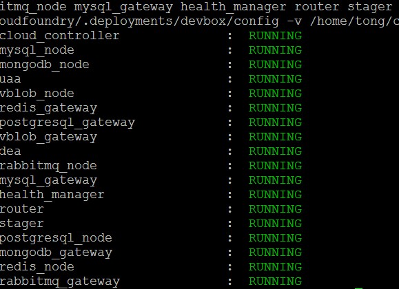 Ƽ֮[ӳѧߵ]ϵ֮ڵ㲿cloudfoundry