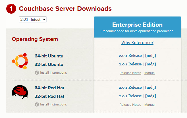 Couchbase Server 2.0.1ҵ湫