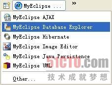 MyEclipse Database Explorer䱸ǳ