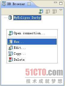 MyEclipse Database Explorer䱸ǳ