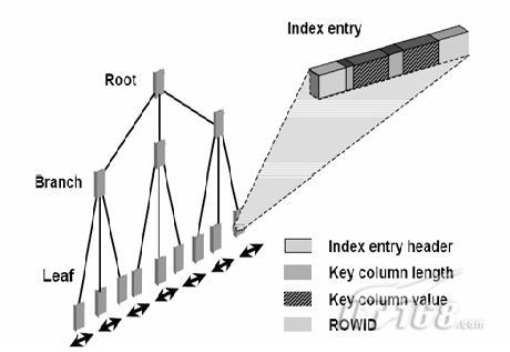 Oracle中的目录详解