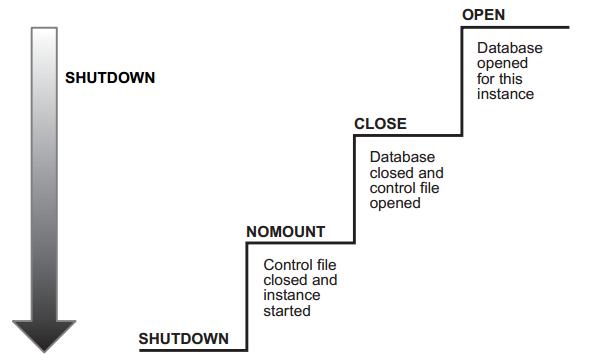 Oracle Database رպ ǳ̸