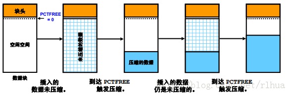 Oracle DB ռ