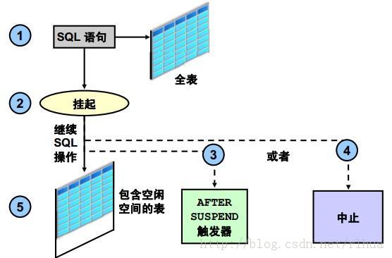 Oracle DB ռ