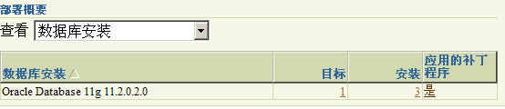 Oracle Grid control 11gActive DataGuard 11gװ䲿𣨶