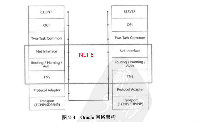 oracle NETѧϰһNET-8ͼΪ