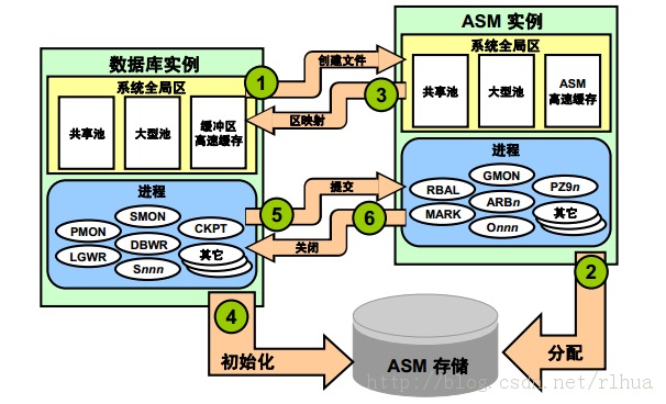 Oracle DB ASMʵ