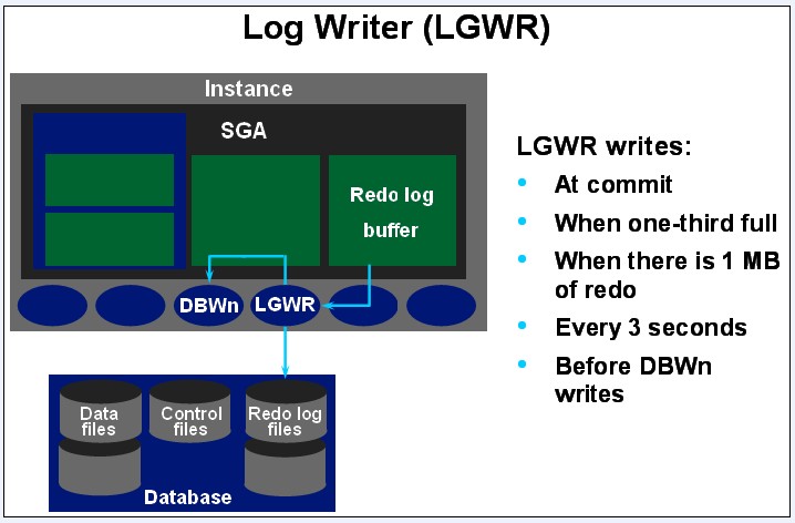 Oracle体系结构:内存储器结构和进程结构