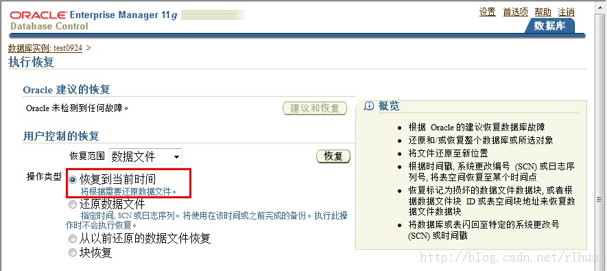 Oracle DB ִݿظ