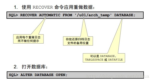 Oracle DB ʩûıݺͻָ