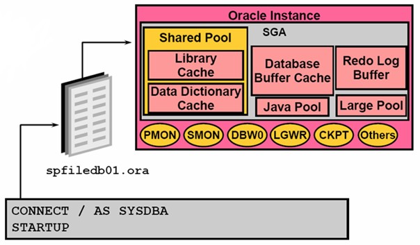 Oracle数据库学习札记(三)