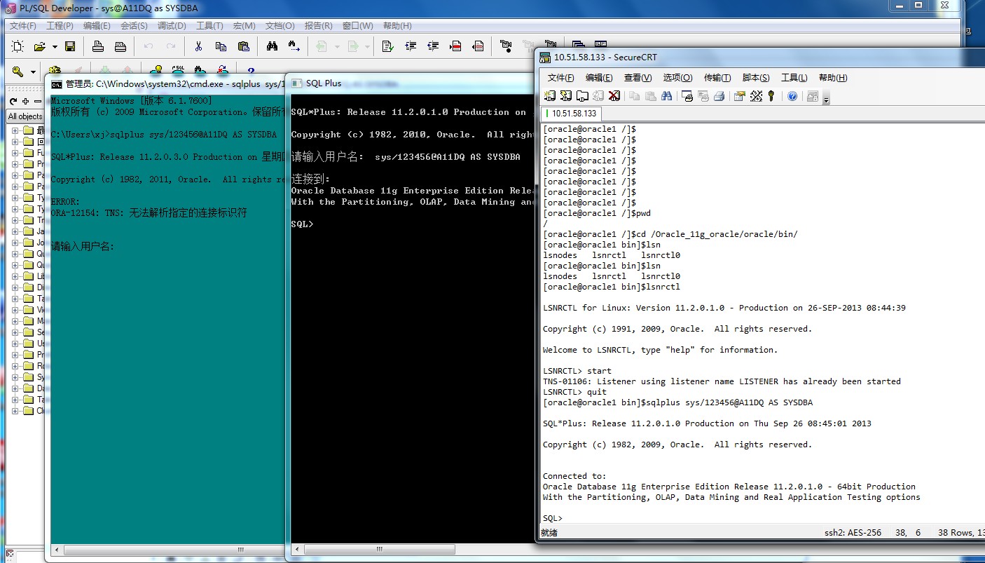 oracle 11g�����й�����