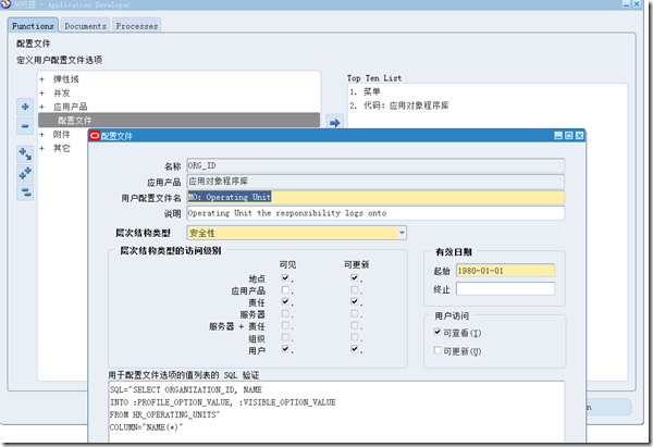 oracle EBS User Profileþ