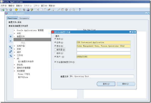 oracle EBS User Profileþ