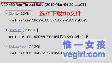 IIS+FastCGI+PHP5.3+MySQL5.1+Gzipϸγ