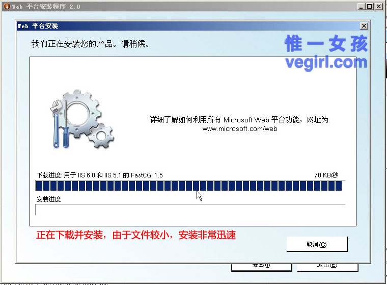IIS+FastCGI+PHP5.3+MySQL5.1+Gzipϸγ