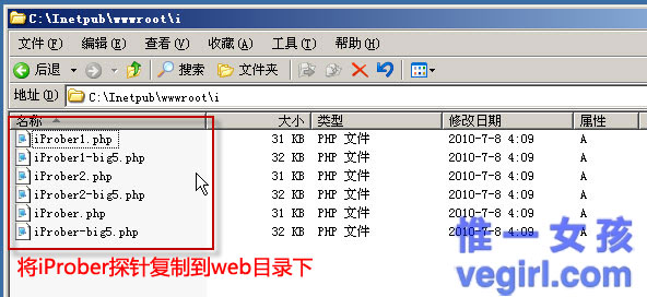 IIS+FastCGI+PHP5.3+MySQL5.1+Gzipϸγ